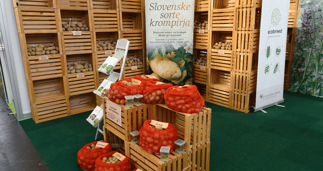 ECOBREED potato varieties showcased at Nature-Health fair in Slovenia