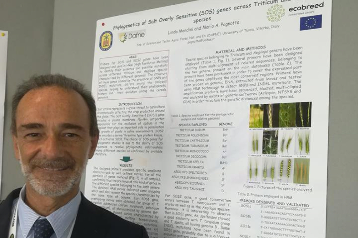 Ecobreed project presented at From Seed to Pasta conference in Bologna (Italy)